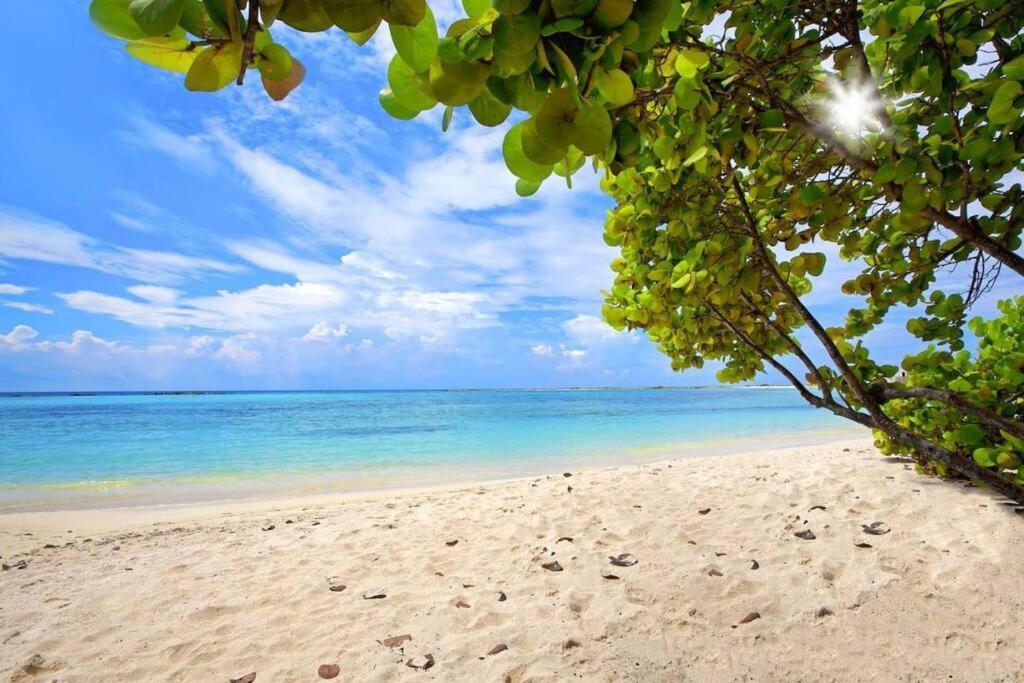 Cozy 1-Bedroom Apartment Minutes Away Drive To Mangel Halto Beach Savaneta Luaran gambar
